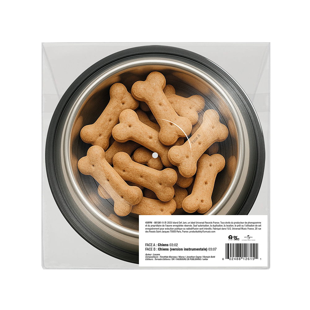Vinyle Picture Disc 45T - Chiens